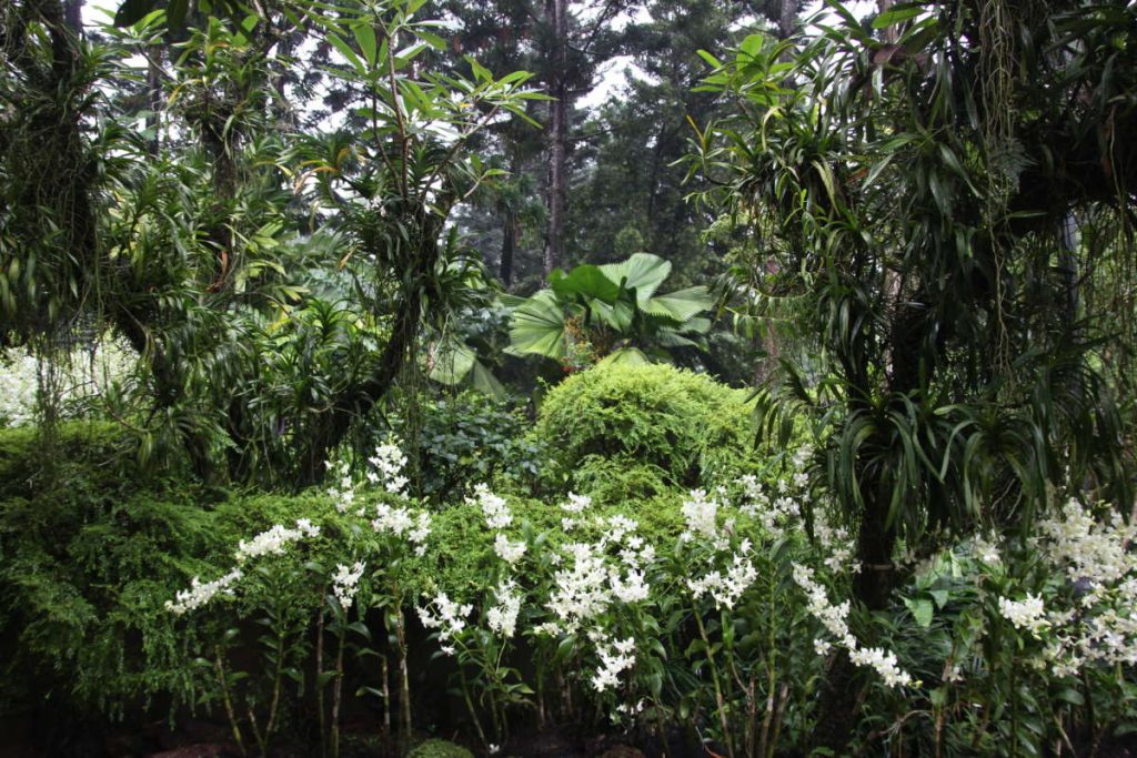 botanicgarden